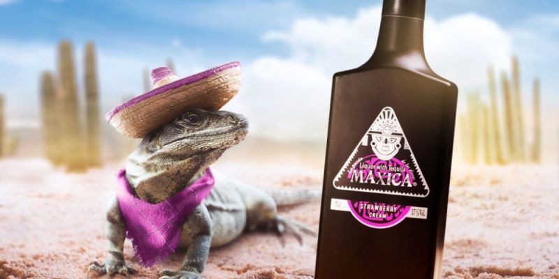 MAXICA Erdbeer-Tequila-Likör mit Leguan
