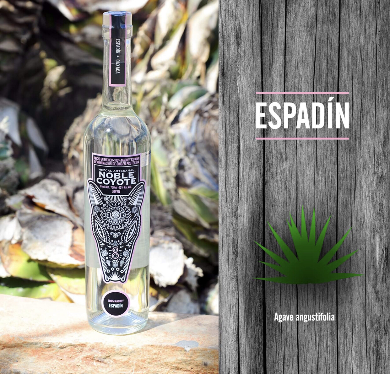 Mezcal Noble Coyote Espadin Agave Angustifolia