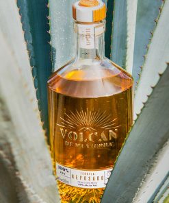 Tequila Volcan de Mi Tierra Reposado entre agaves